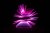 sortie 2026_012